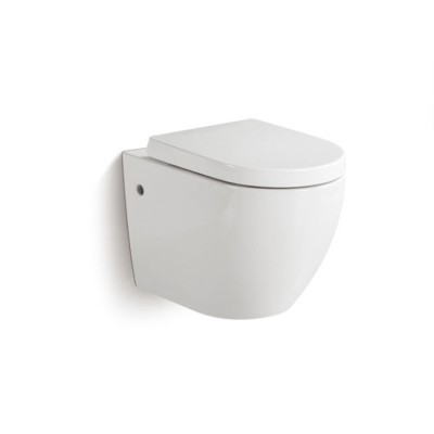 Ceramic sanitary ware  wall hung toilet High quality  back to wall toilet flush water concealed cistern watermark certification