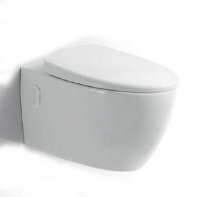 Water closet  P-trap Dual-flush One Piece Ceramic Hung Wc Porcelain wash bidet toilet Wall Mounted Toilet White Color