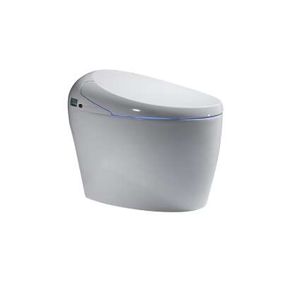 Foshan One Piece Freestanding Bathroom Ceramic Smart Wc Intelligent Toilet  With Bidet Toilets