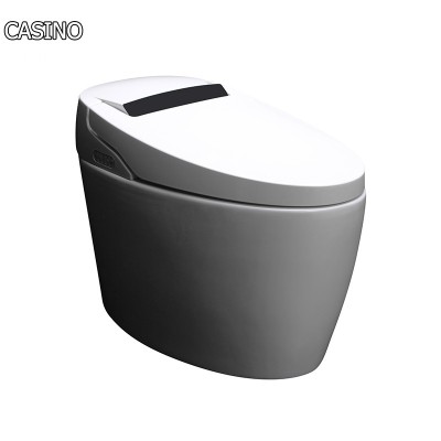 China Sanitary Ware One Piece Intelligent Australia Smart Toilet seat bidet water closet