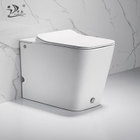 Siphonic one piece closet cistern less pulse electronic smart pulse toilet